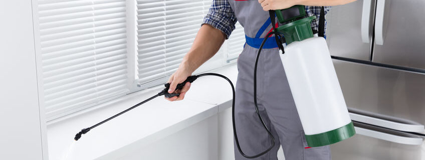 Worker Spraying Insecticide On Windowsill