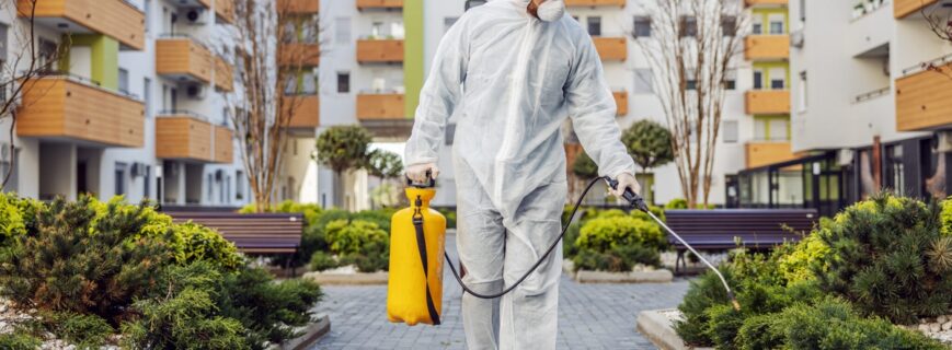 Deratizare Giurgiu Servicii DDD Profesionale – Rapid și Garantat