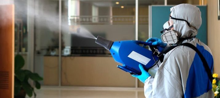 Dezinsecție Buzău – Eliminăm Insectele Rapid și Eficient