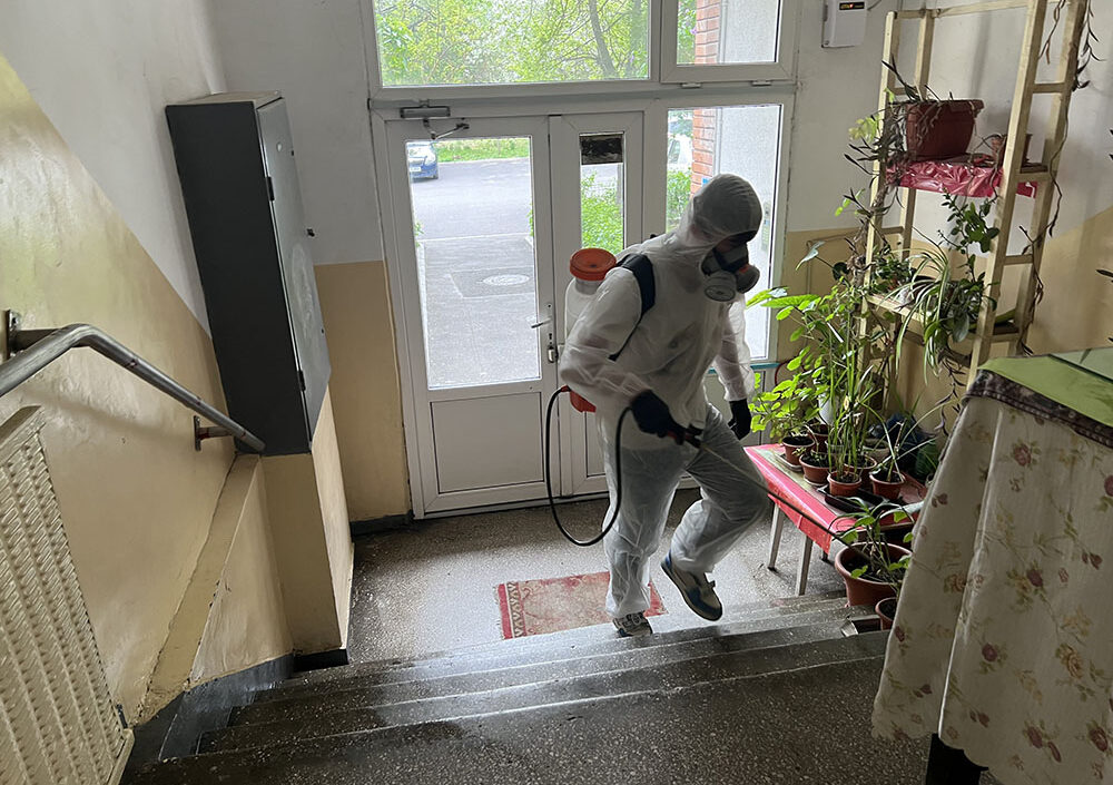Dezinsecție Dâmbovița – Scapă de Insecte Eficient
