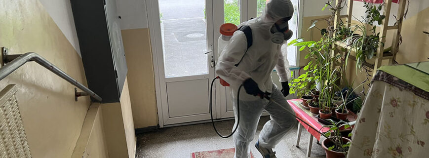 Dezinsecție Dâmbovița – Scapă de Insecte Eficient