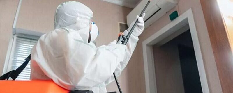 Dezinsecție Ploiești – Soluții Eficiente Împotriva Dăunătorilor Dezinsecție Ploiești – Soluții Eficiente Împotriva Dăunătorilor