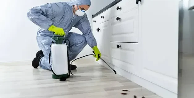 Firma Autorizată DDD Intervenție Rapidă & Prețuri Corecte