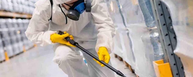 Protecție Completă Împotriva Rozătoarelor și Insectelor