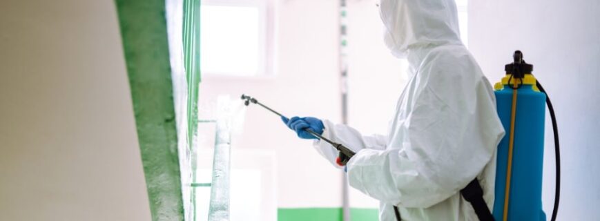 Scapă de Dăunători Azi! Servicii DDD Profesionale la Tine în Oraș