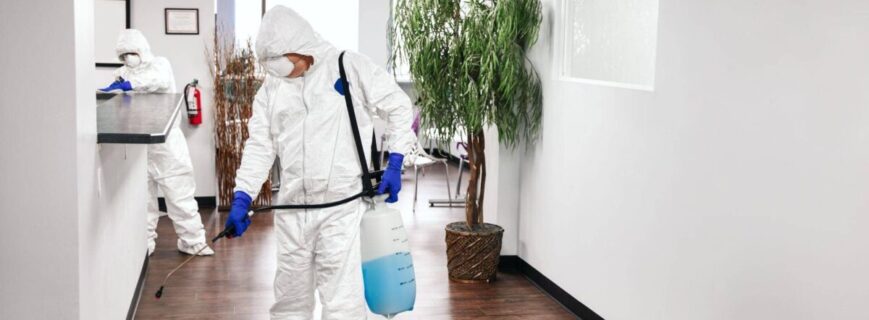 Servicii DDD Profesionale – Rapid și Garantat Servicii DDD Profesionale – Rapid și Garantat